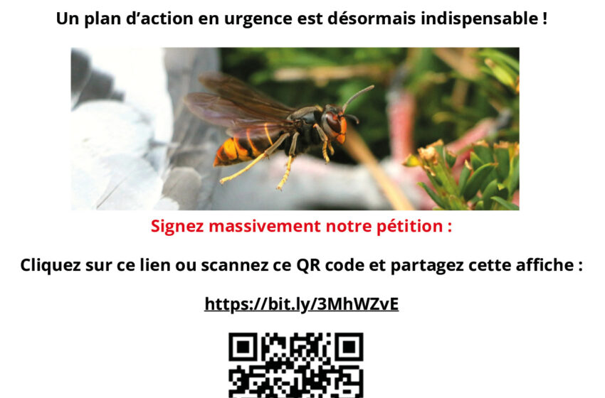  PETITION – PLAN D’URGENCE CONTRE LE FRELON ASIATIQUE